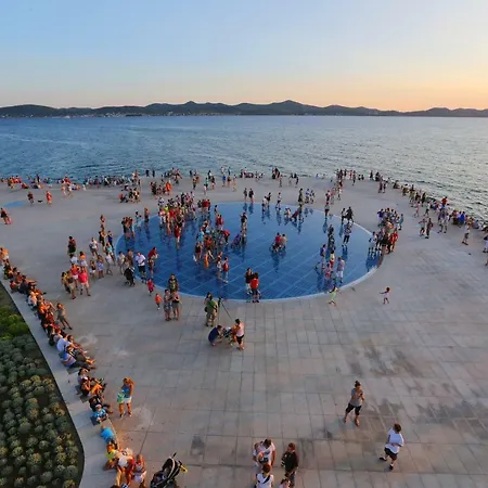 Bono * Zadar